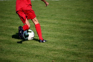 华体会官方网站下载-篮球运动员专项技能训练课程体系创新探索，篮球专项训练方案