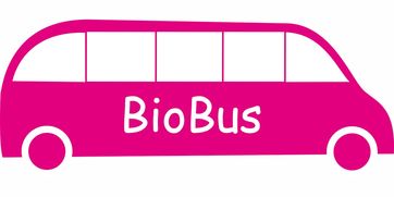 华体会平台娱乐-意甲联赛的绿色可持续发展,意甲联赛啥意思